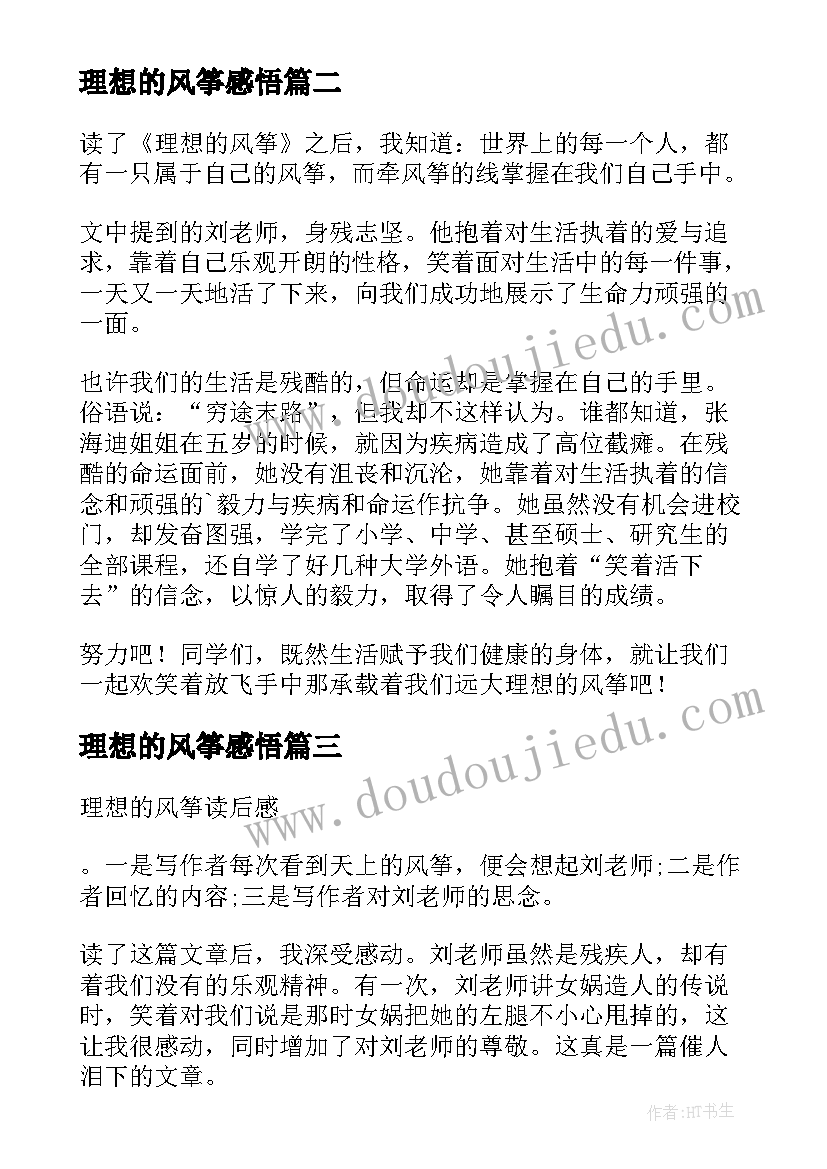 2023年理想的风筝感悟(大全5篇)