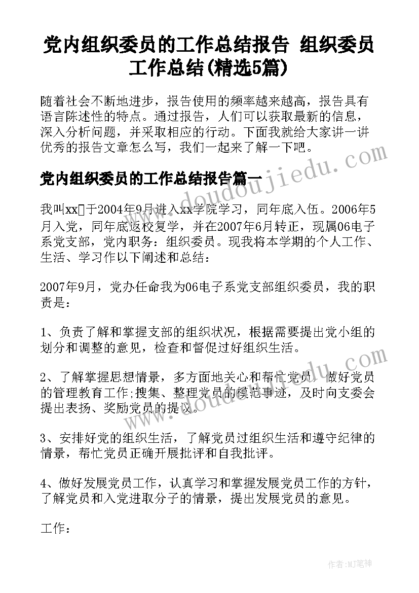 党内组织委员的工作总结报告 组织委员工作总结(精选5篇)