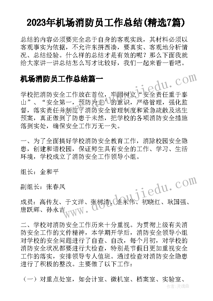 2023年机场消防员工作总结(精选7篇)