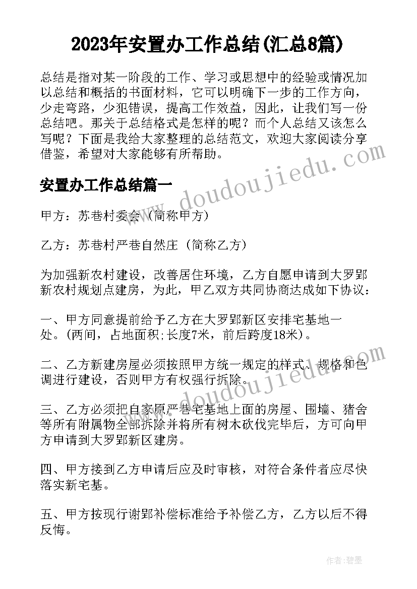 2023年安置办工作总结(汇总8篇)