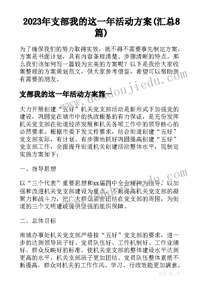 2023年支部我的这一年活动方案(汇总8篇)