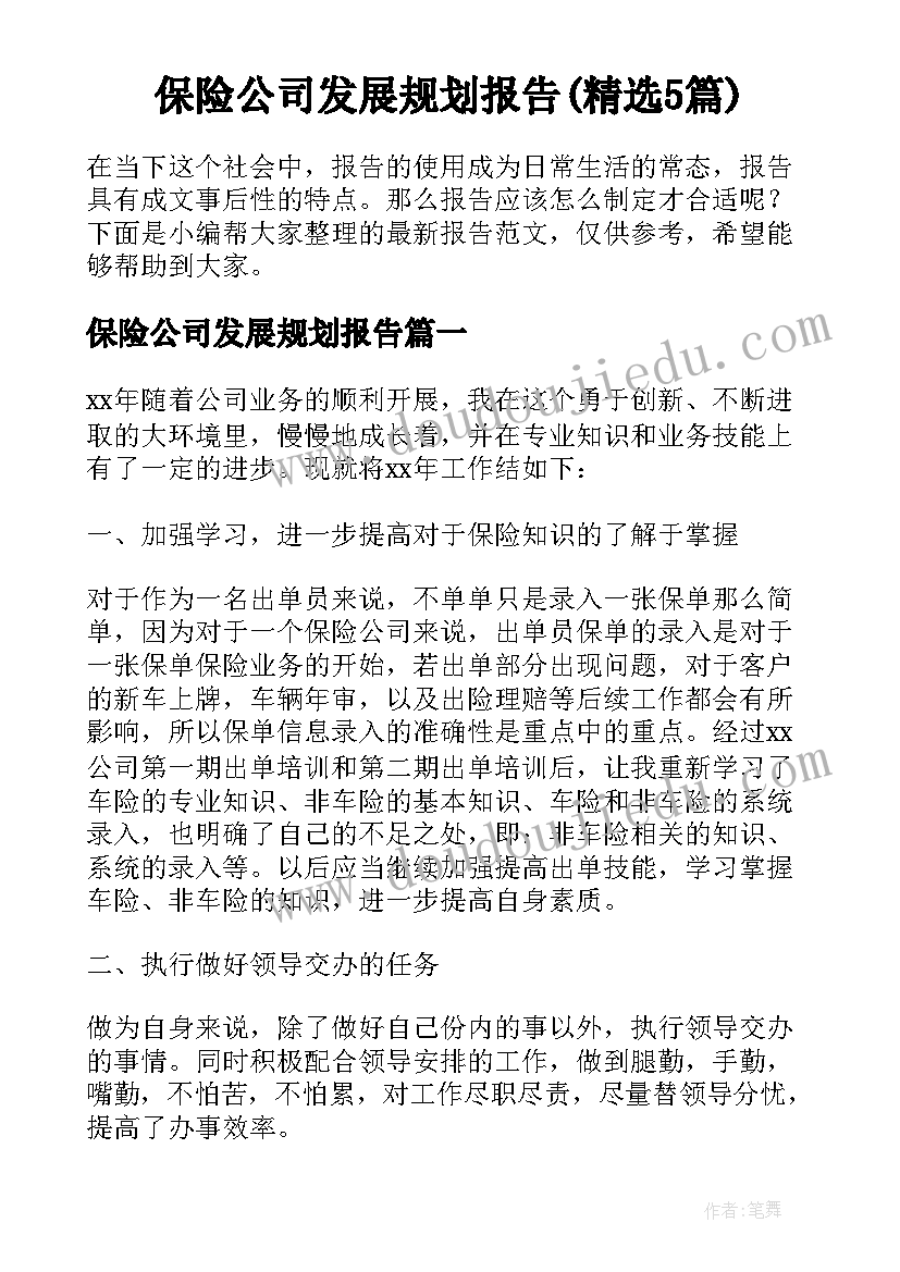 保险公司发展规划报告(精选5篇)