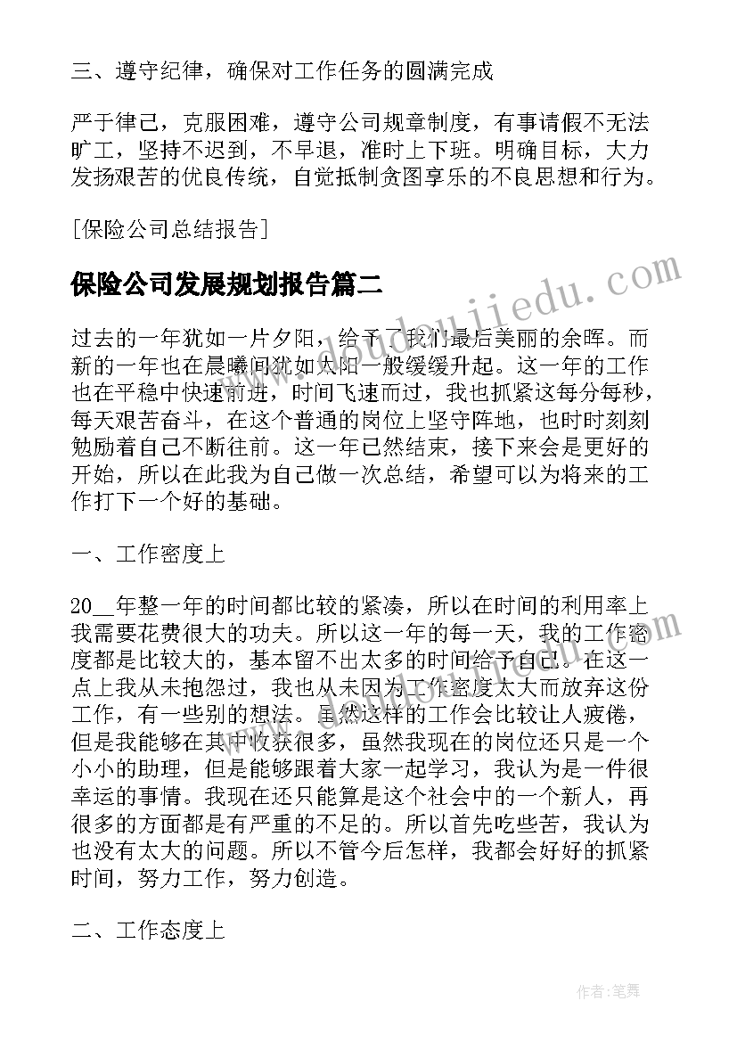 保险公司发展规划报告(精选5篇)