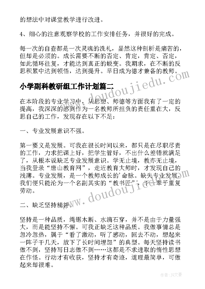 2023年小学副科教研组工作计划(精选5篇)