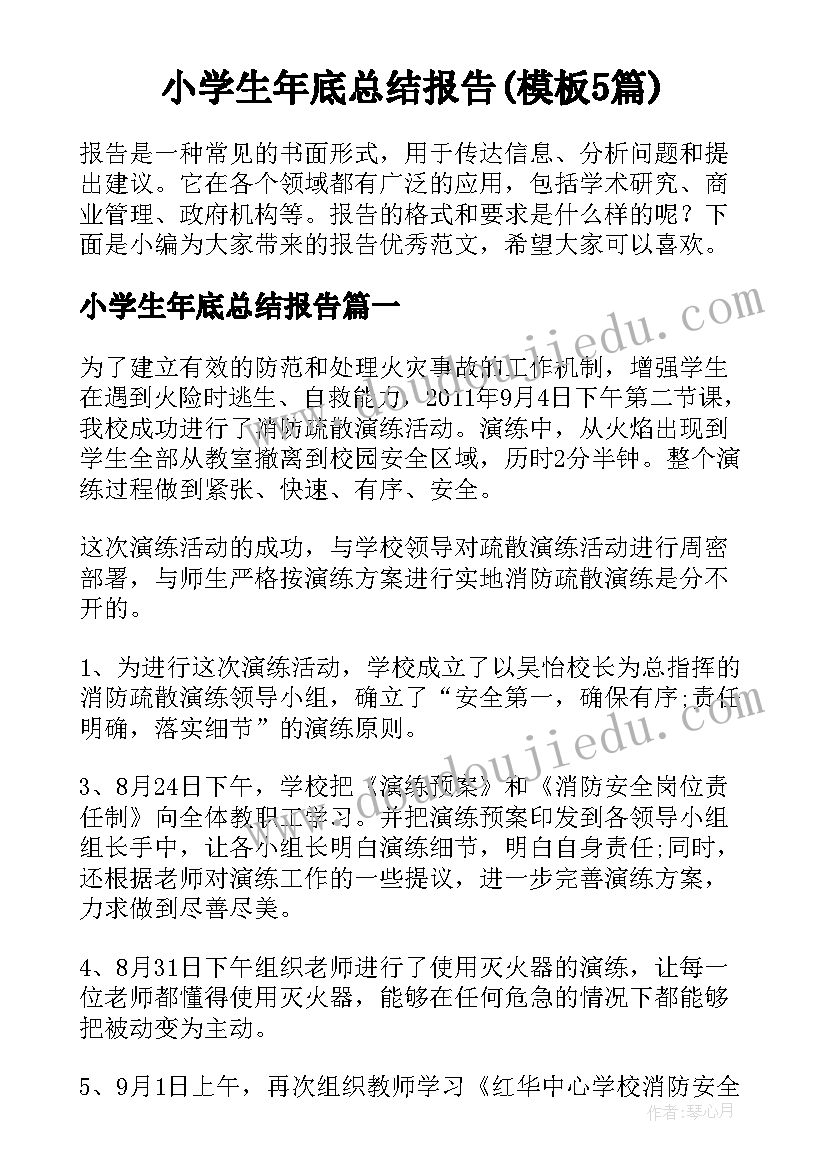 小学生年底总结报告(模板5篇)