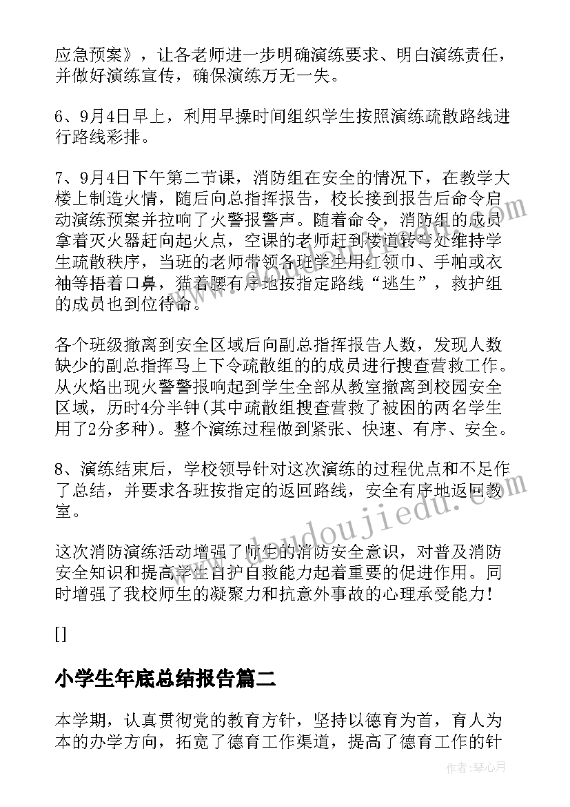 小学生年底总结报告(模板5篇)