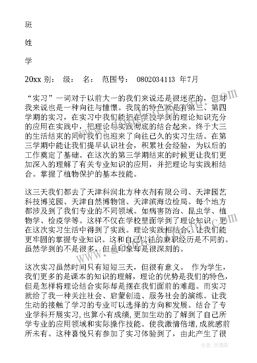 2023年部队思想报告总结 实习报告思想总结(优质9篇)