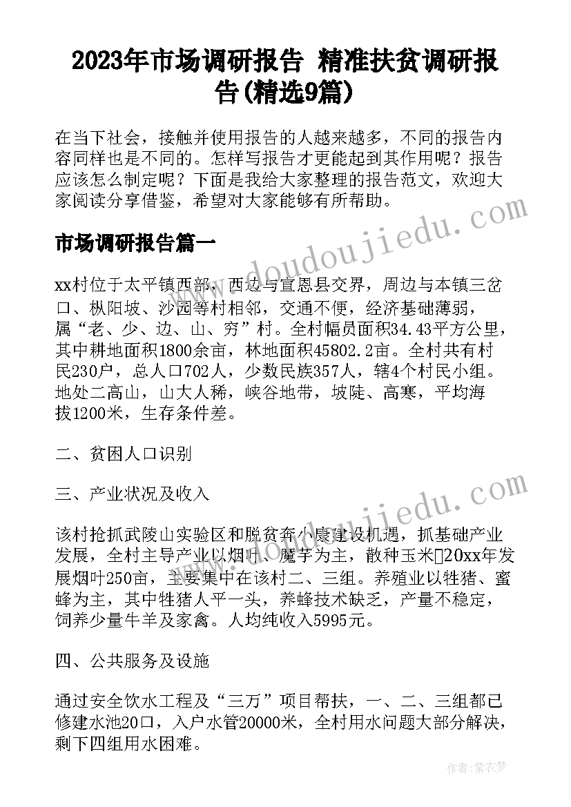 2023年市场调研报告 精准扶贫调研报告(精选9篇)