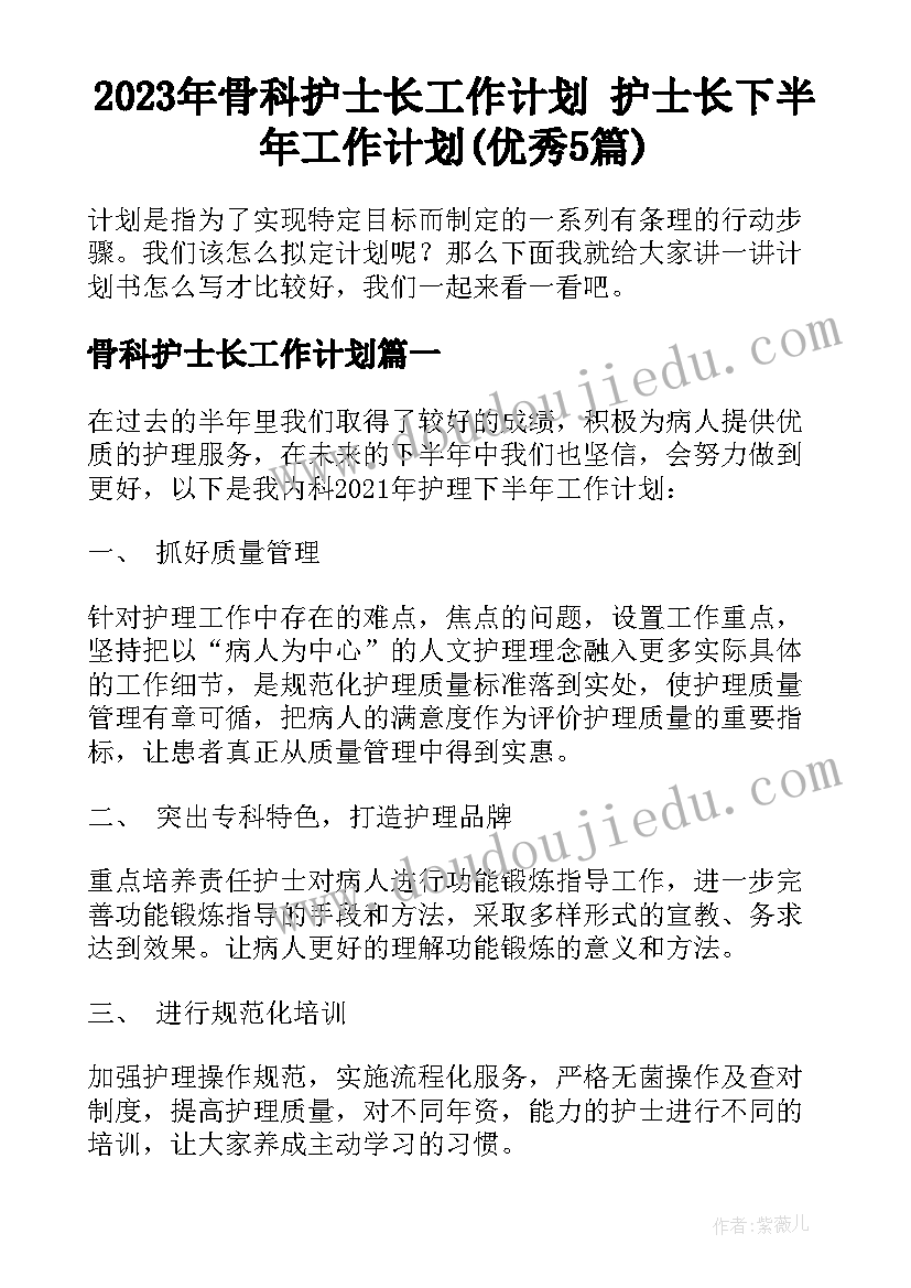 2023年骨科护士长工作计划 护士长下半年工作计划(优秀5篇)