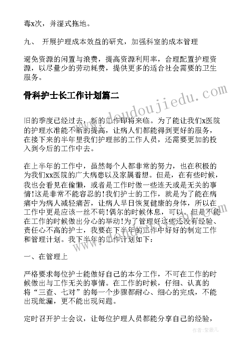 2023年骨科护士长工作计划 护士长下半年工作计划(优秀5篇)