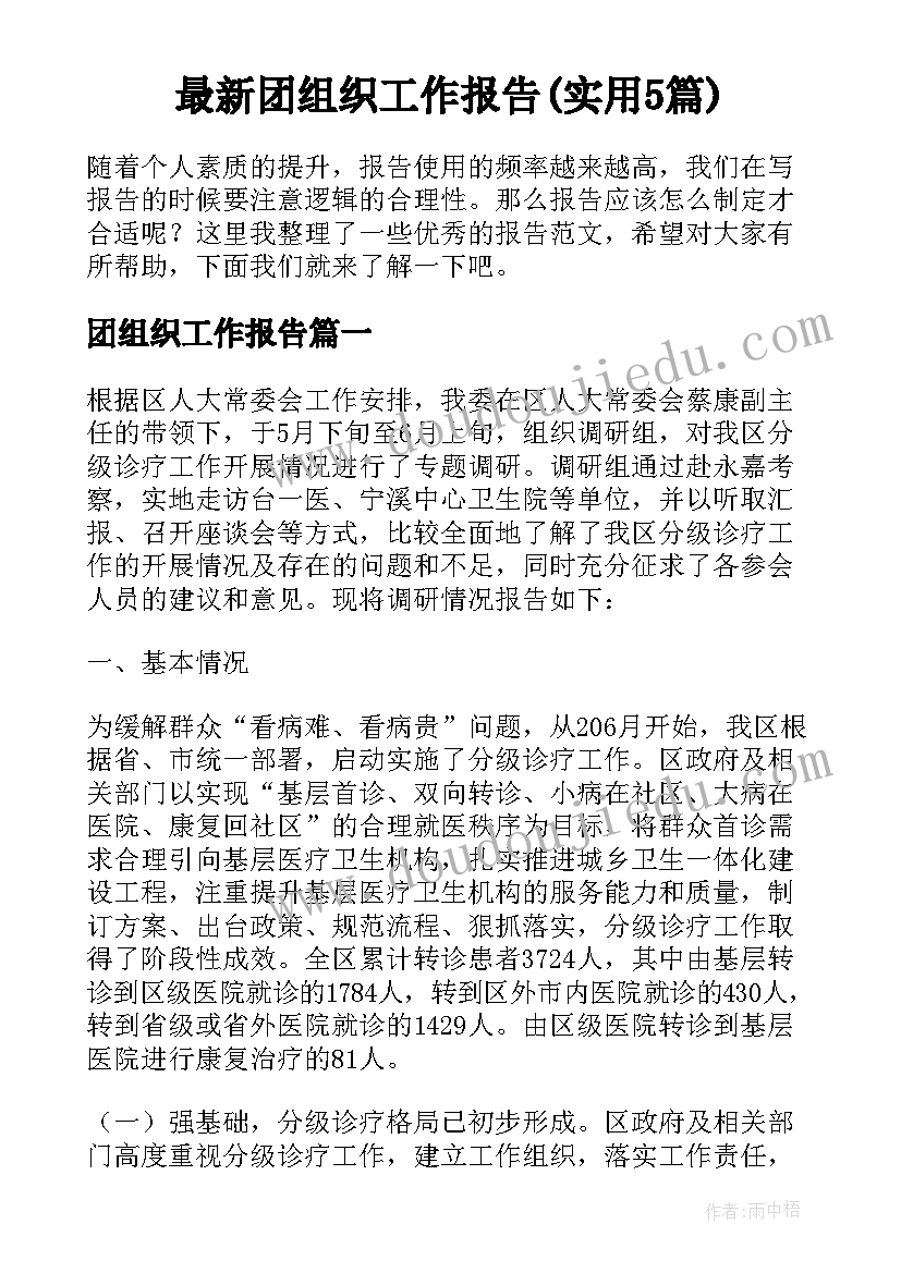 最新团组织工作报告(实用5篇)