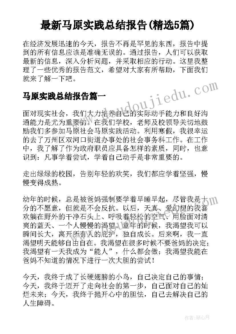 最新马原实践总结报告(精选5篇)