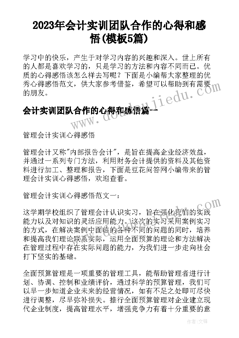 2023年会计实训团队合作的心得和感悟(模板5篇)