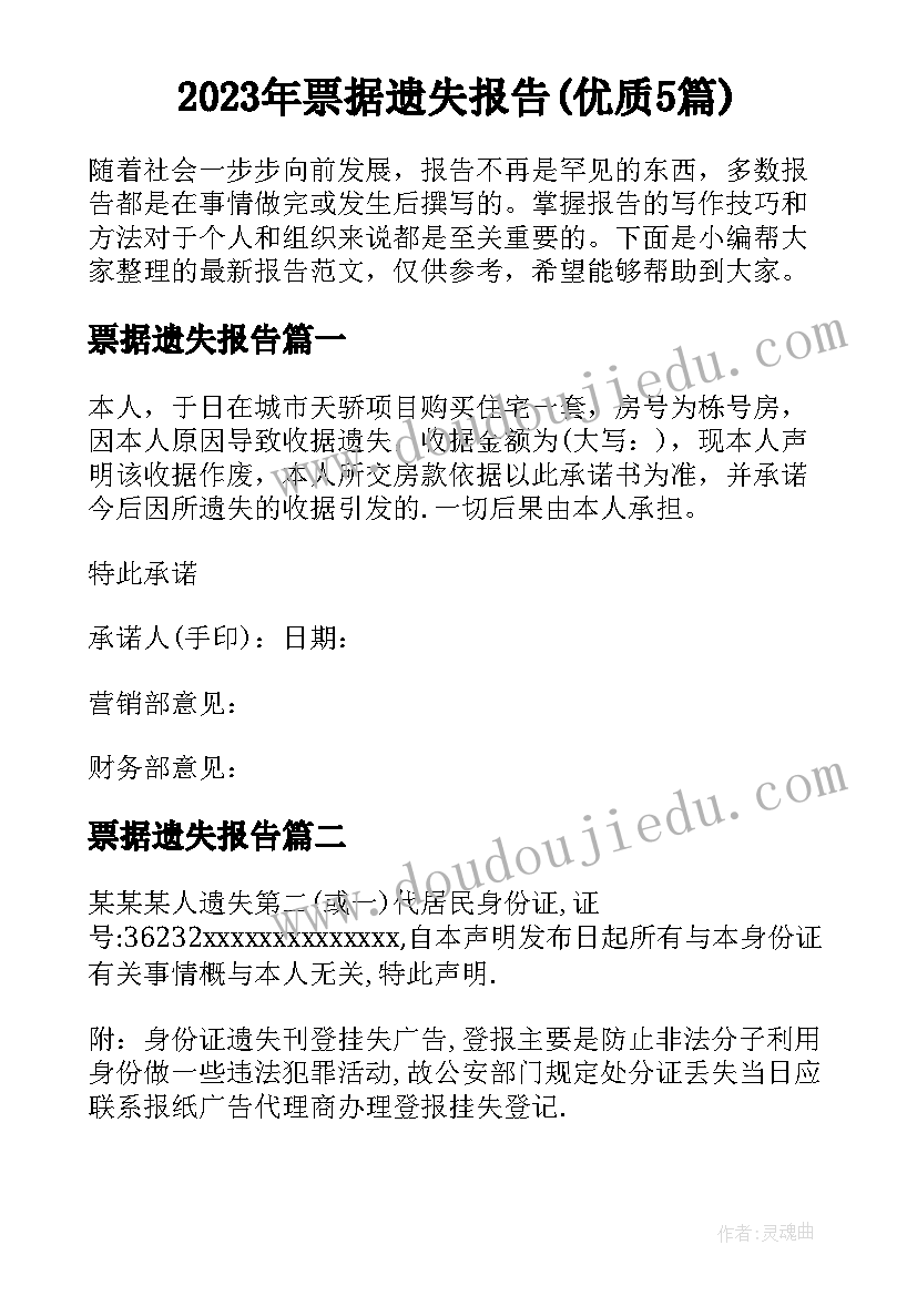 2023年票据遗失报告(优质5篇)