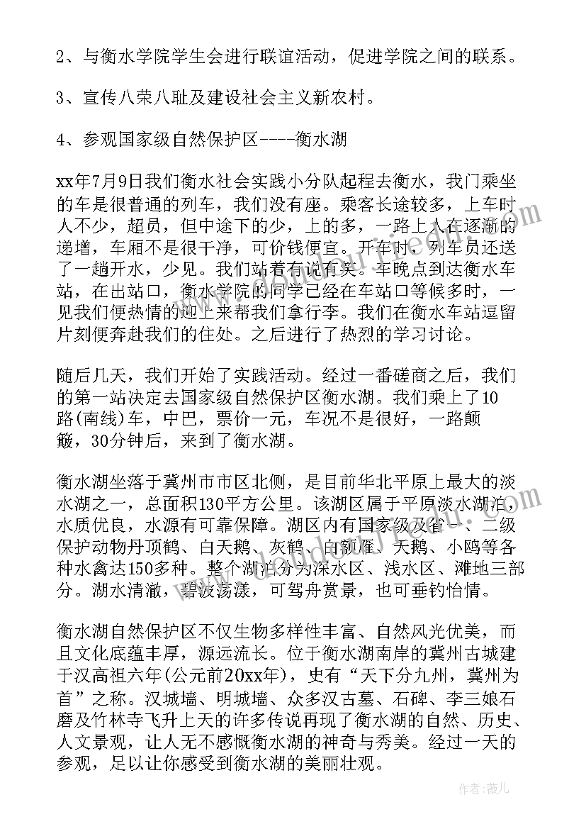 2023年农村环境保护实践活动报告 农村社会实践报告(实用10篇)