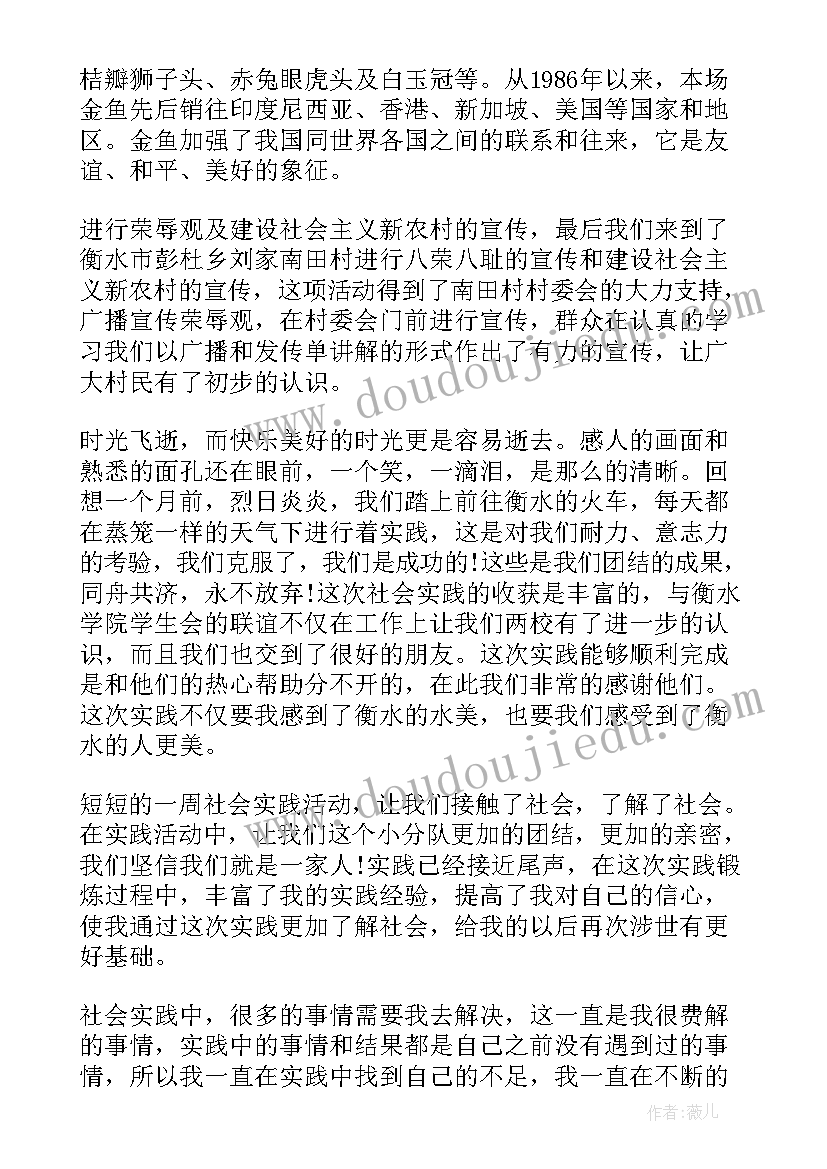 2023年农村环境保护实践活动报告 农村社会实践报告(实用10篇)