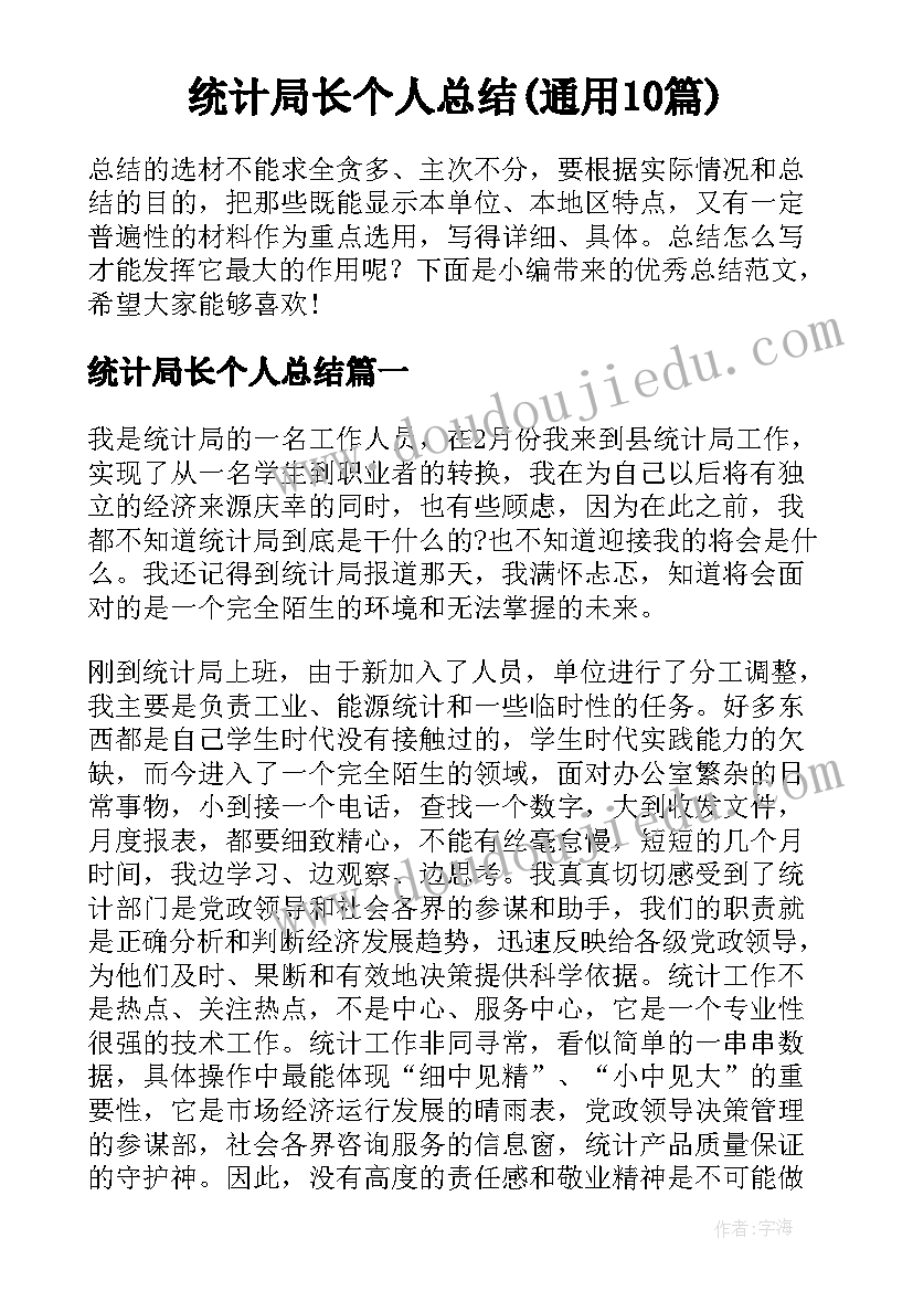 统计局长个人总结(通用10篇)