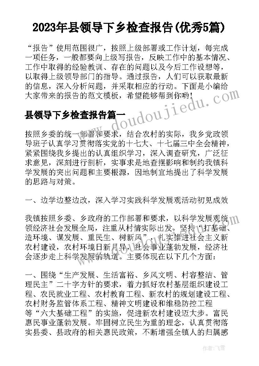 2023年县领导下乡检查报告(优秀5篇)