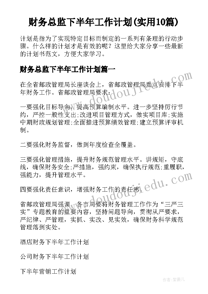 财务总监下半年工作计划(实用10篇)