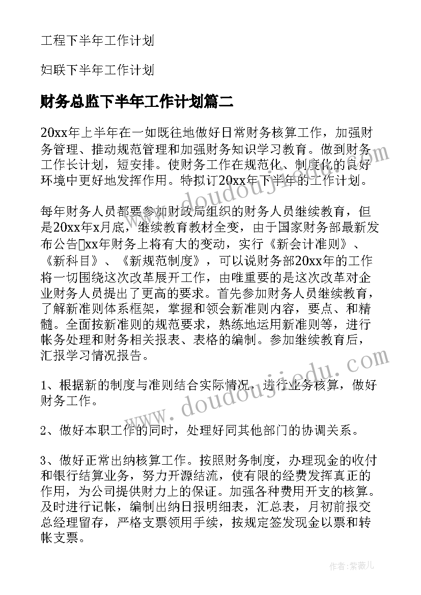 财务总监下半年工作计划(实用10篇)