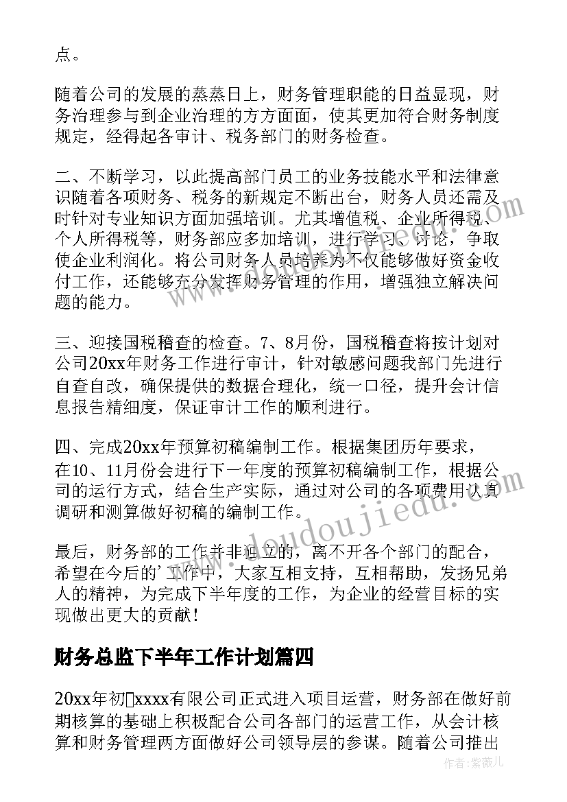 财务总监下半年工作计划(实用10篇)