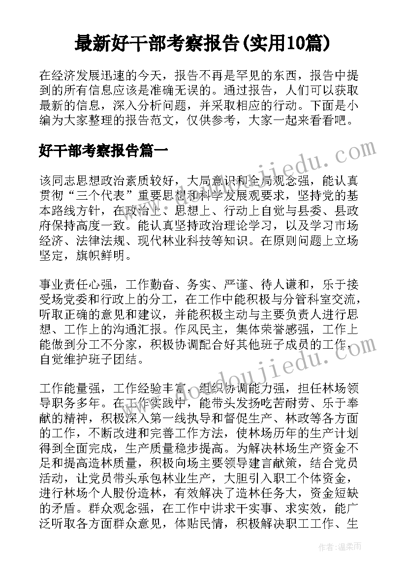 最新好干部考察报告(实用10篇)