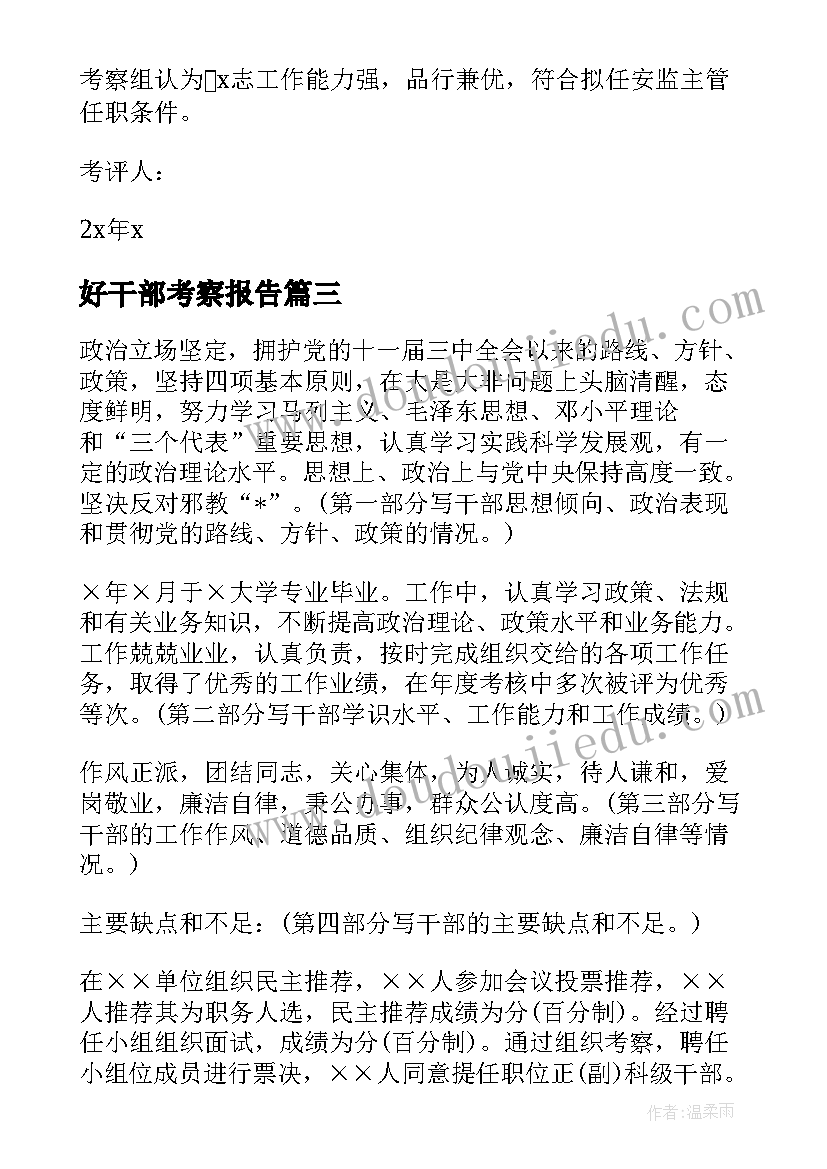 最新好干部考察报告(实用10篇)