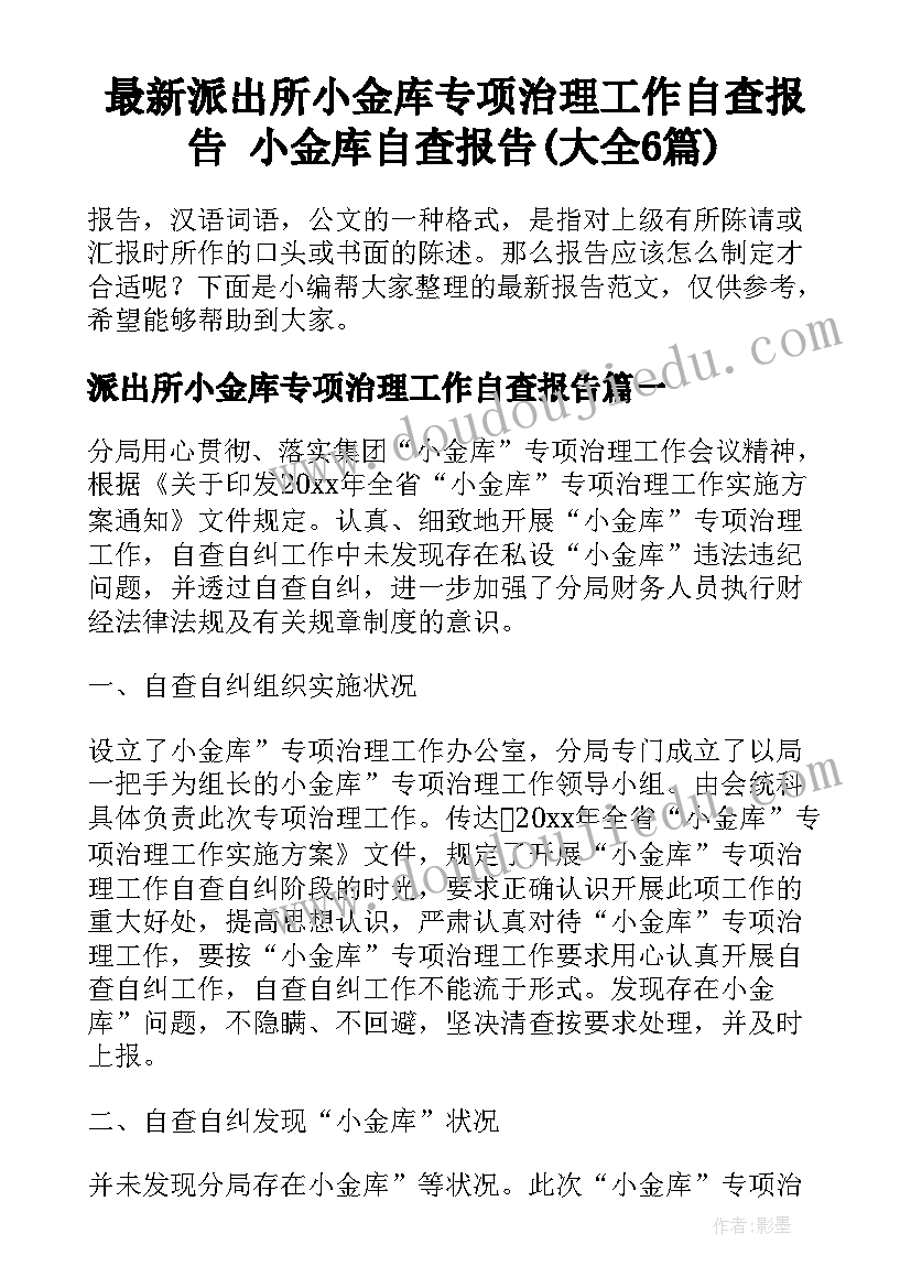 最新派出所小金库专项治理工作自查报告 小金库自查报告(大全6篇)