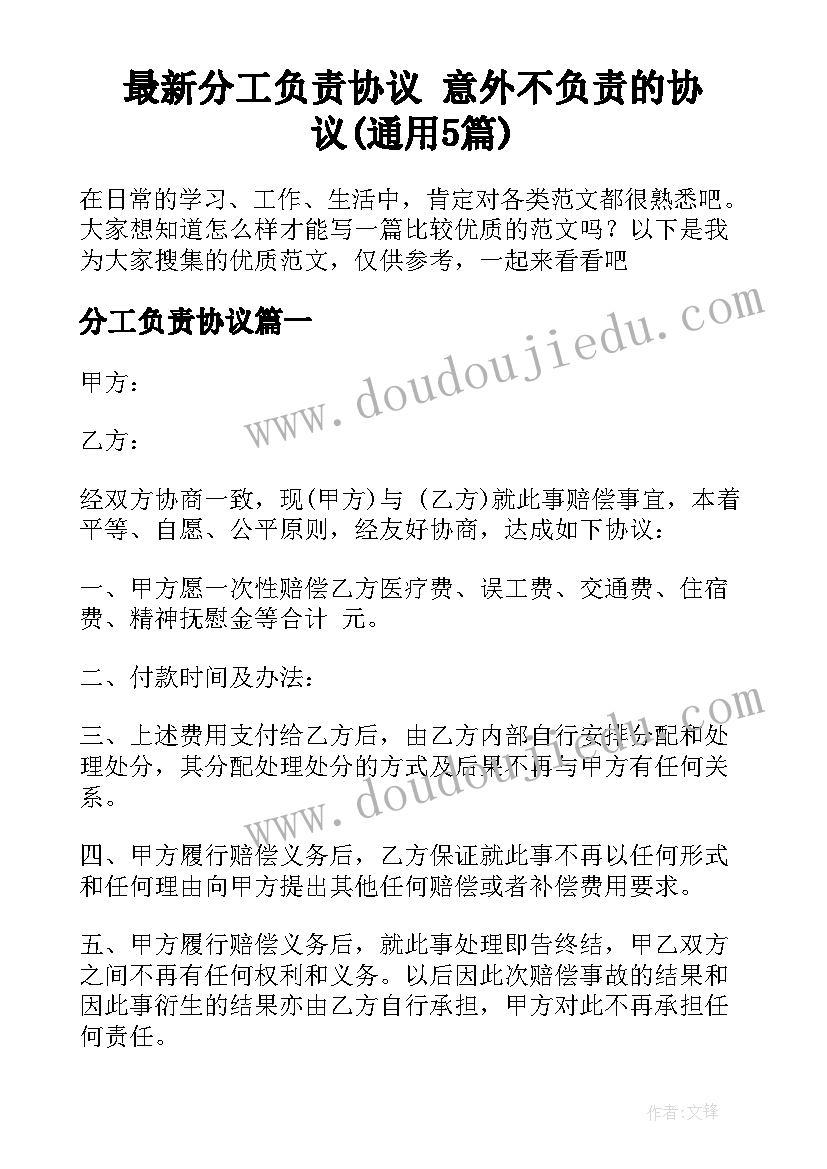 最新分工负责协议 意外不负责的协议(通用5篇)