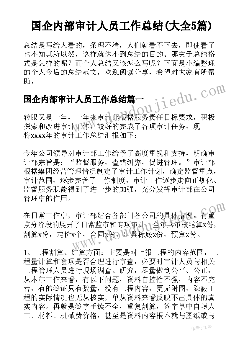 国企内部审计人员工作总结(大全5篇)