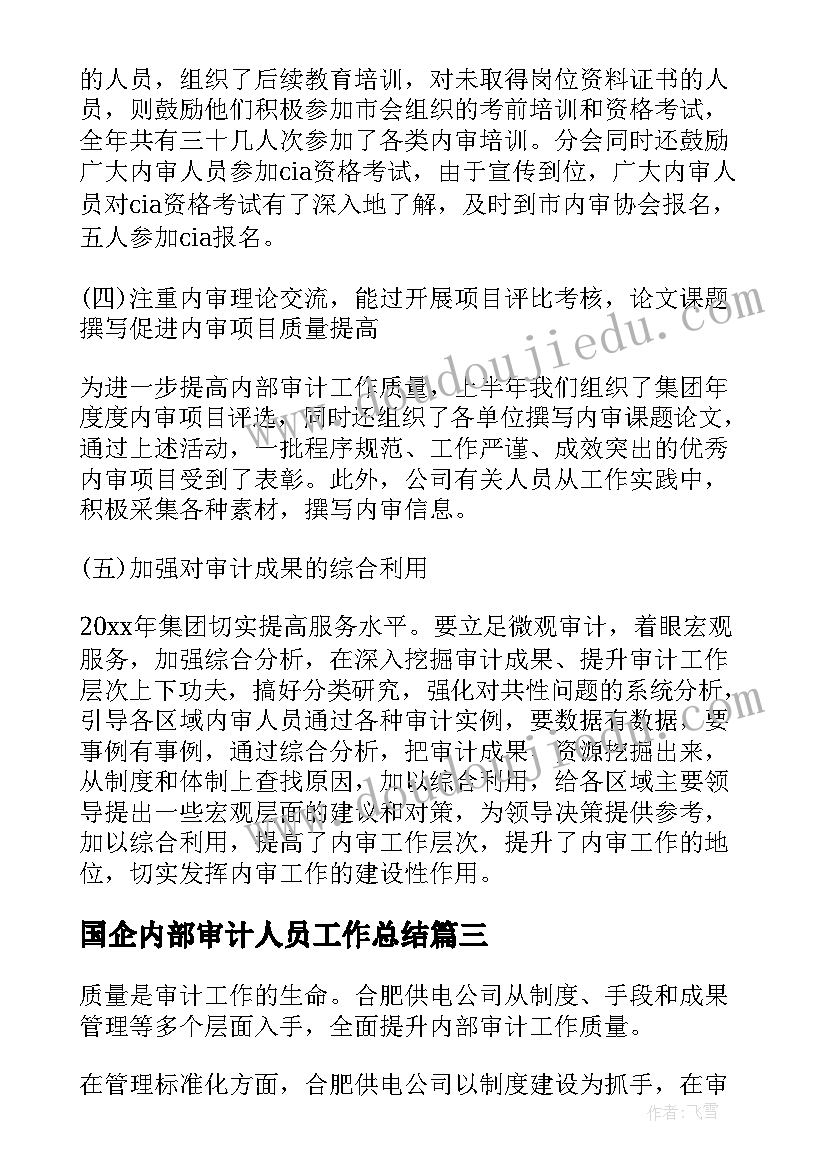 国企内部审计人员工作总结(大全5篇)