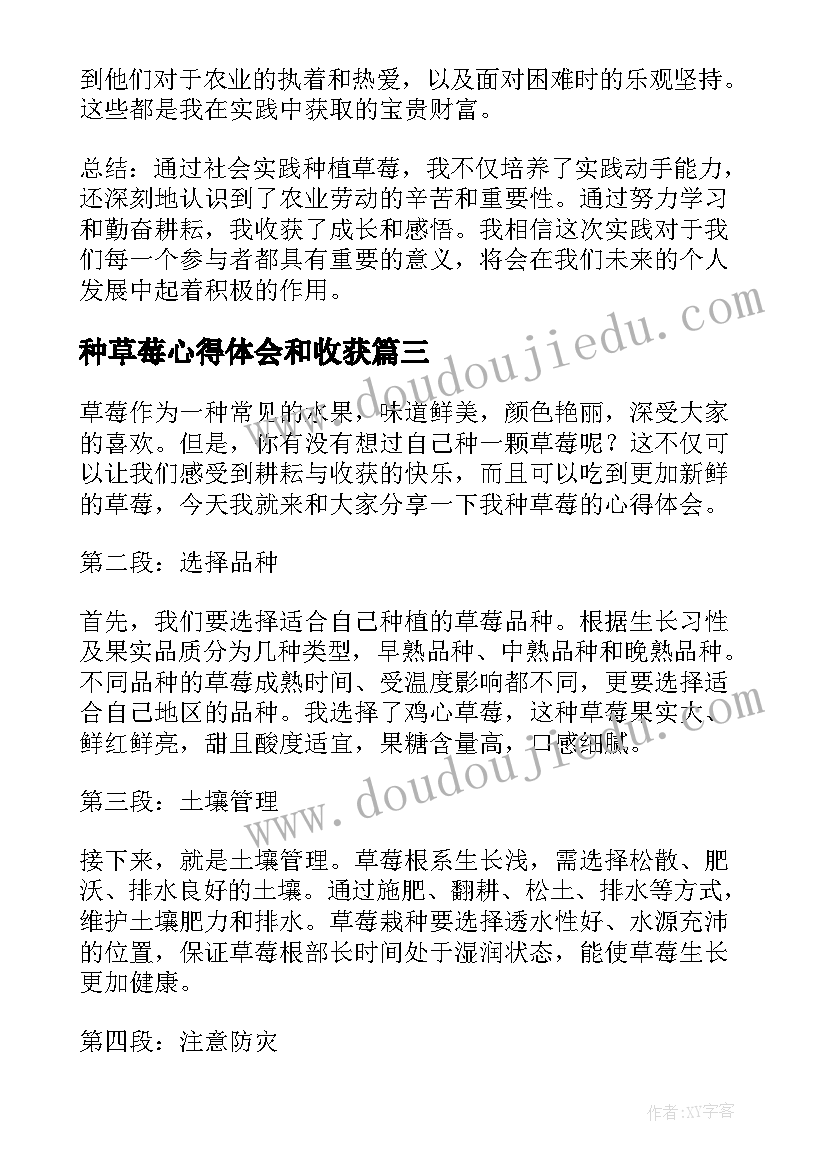 最新种草莓心得体会和收获(模板5篇)