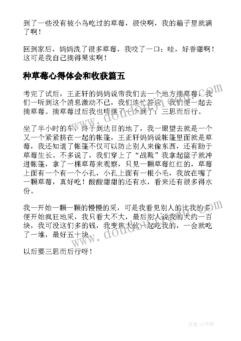 最新种草莓心得体会和收获(模板5篇)