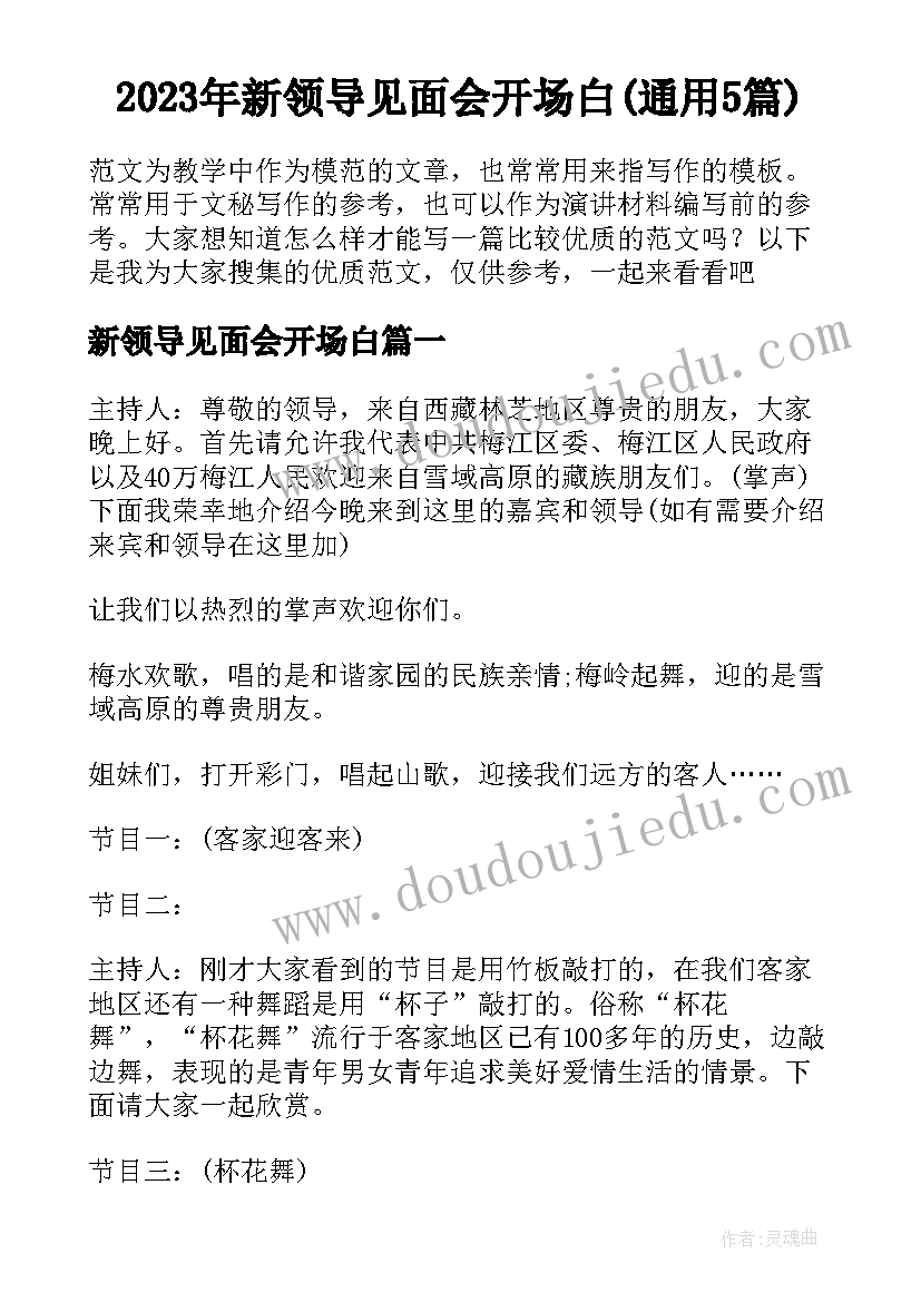 2023年新领导见面会开场白(通用5篇)