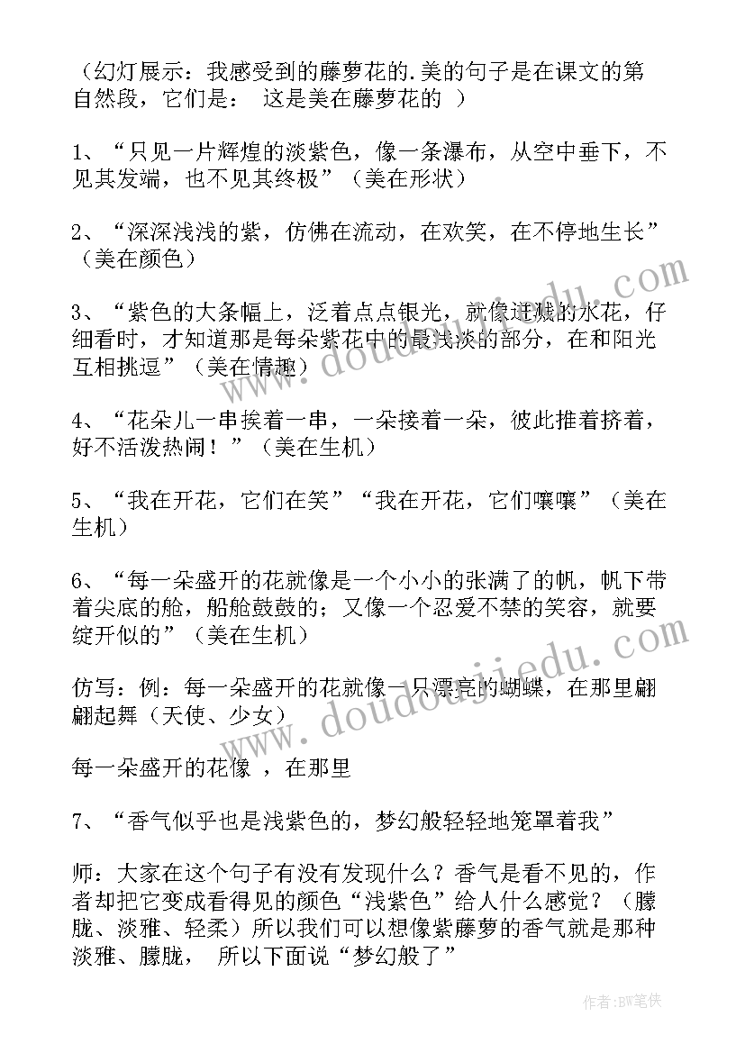 2023年紫藤萝瀑布备课教案(实用10篇)