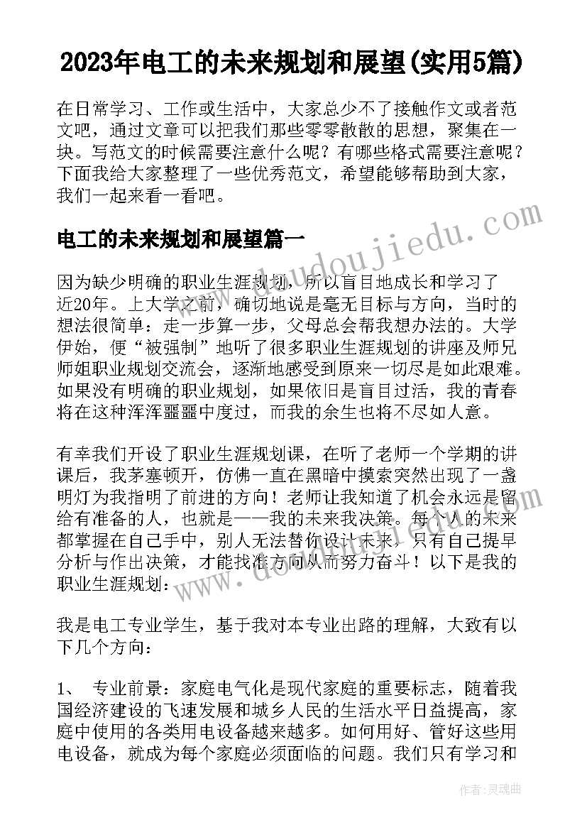 2023年电工的未来规划和展望(实用5篇)