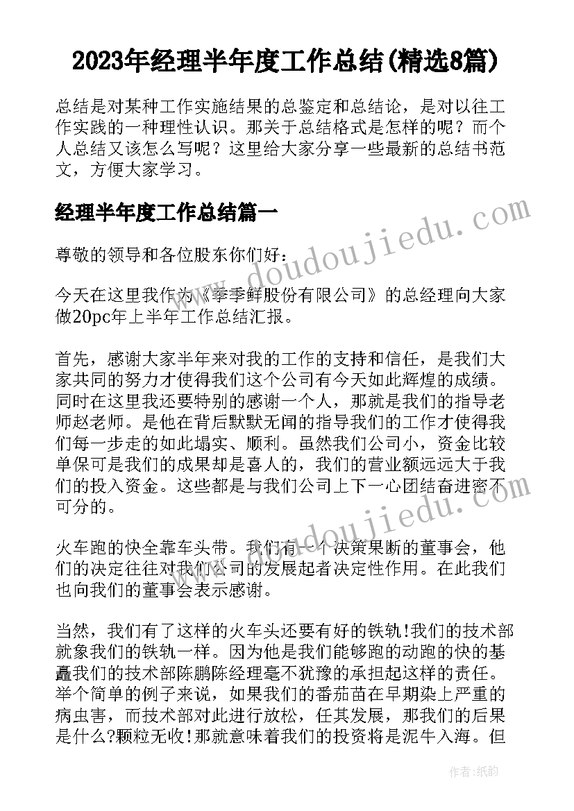 2023年经理半年度工作总结(精选8篇)