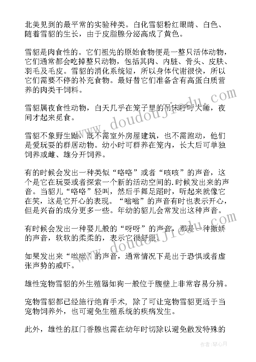 宠物店介绍文案创意(实用8篇)