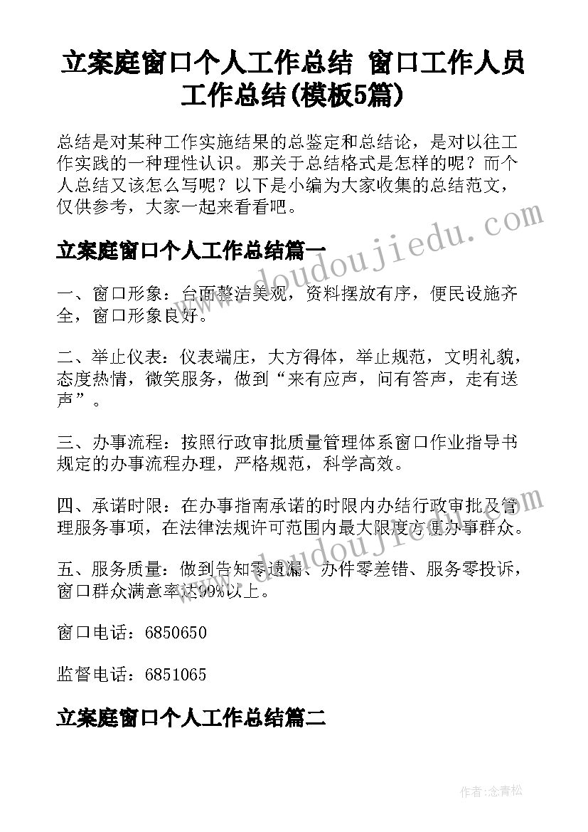 立案庭窗口个人工作总结 窗口工作人员工作总结(模板5篇)