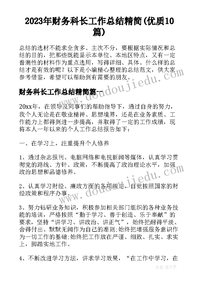 2023年财务科长工作总结精简(优质10篇)