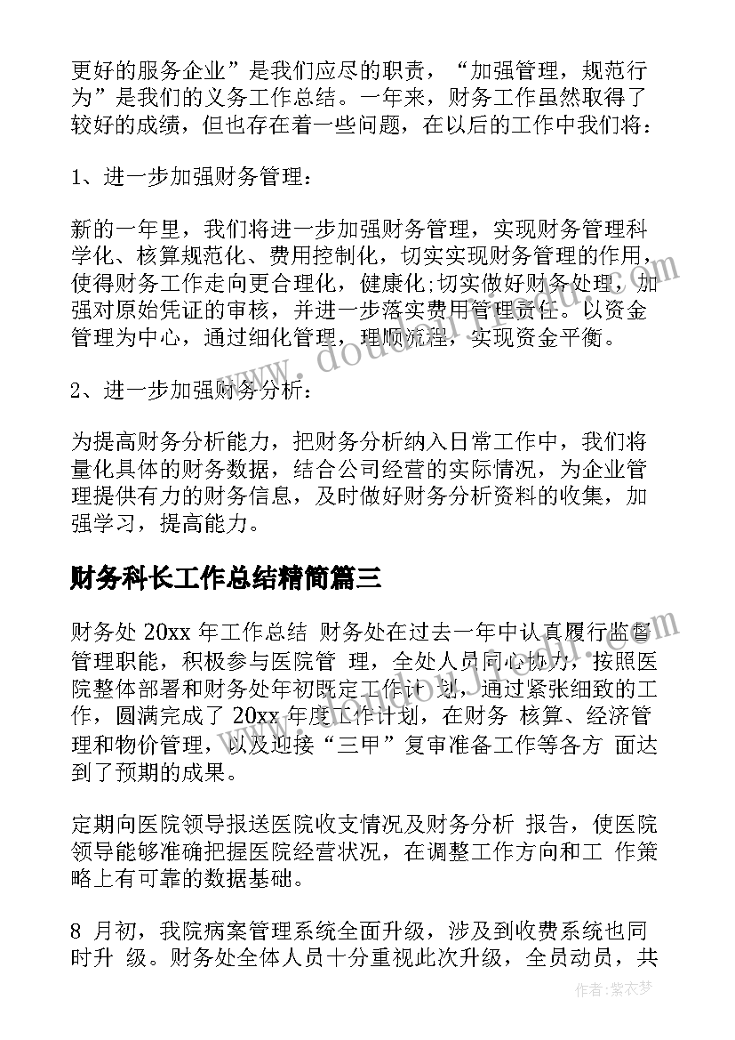 2023年财务科长工作总结精简(优质10篇)