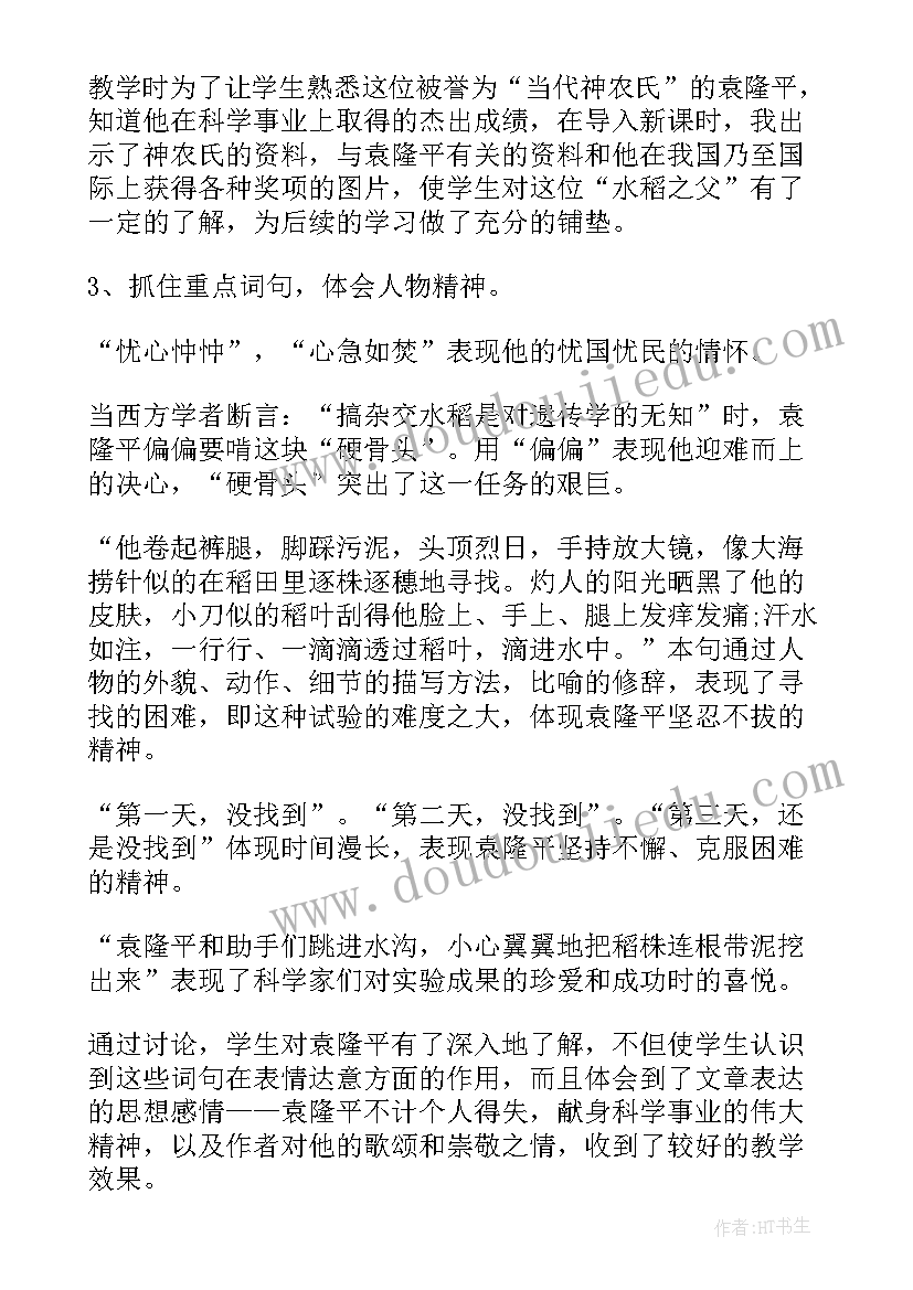 读杂交水稻之父有感 杂交水稻之父的教学反思(模板8篇)