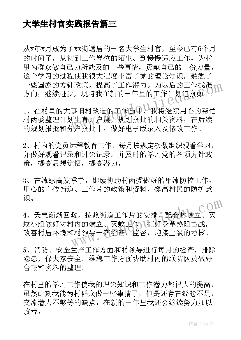 大学生村官实践报告(大全15篇)