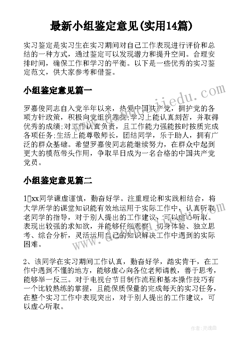 最新小组鉴定意见(实用14篇)