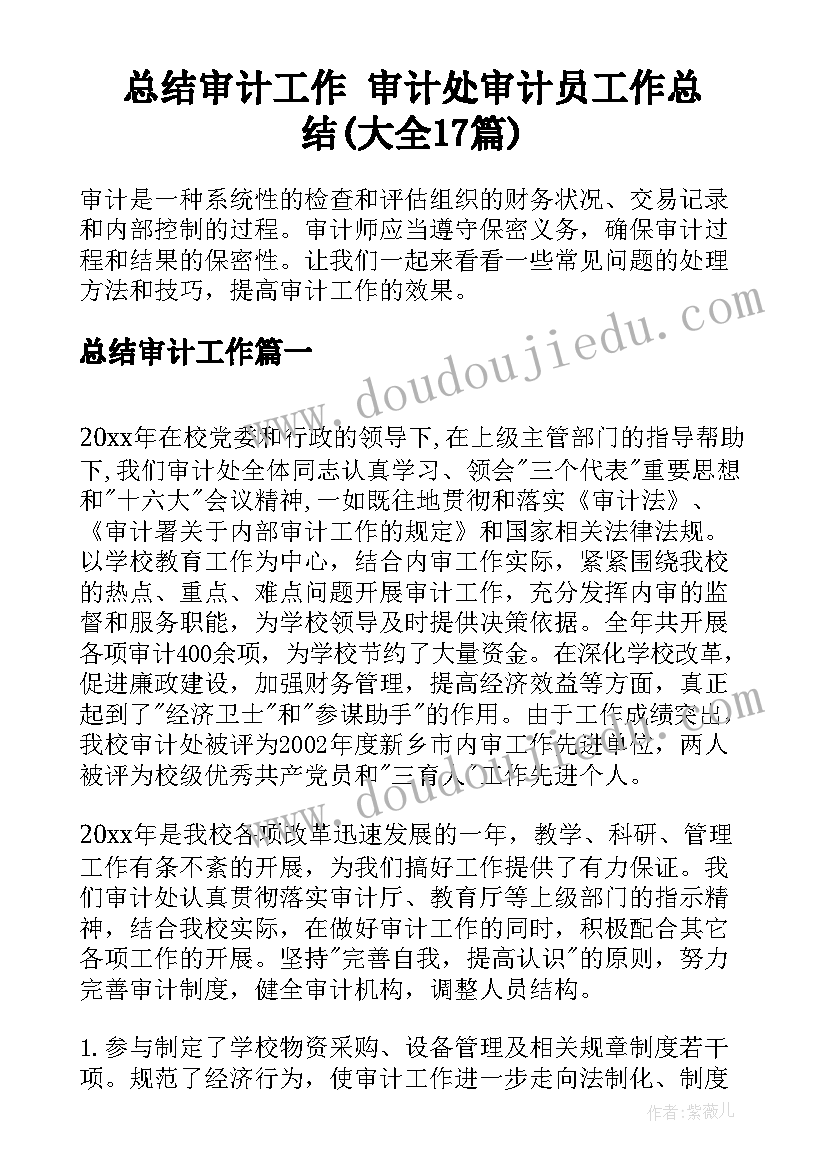 总结审计工作 审计处审计员工作总结(大全17篇)