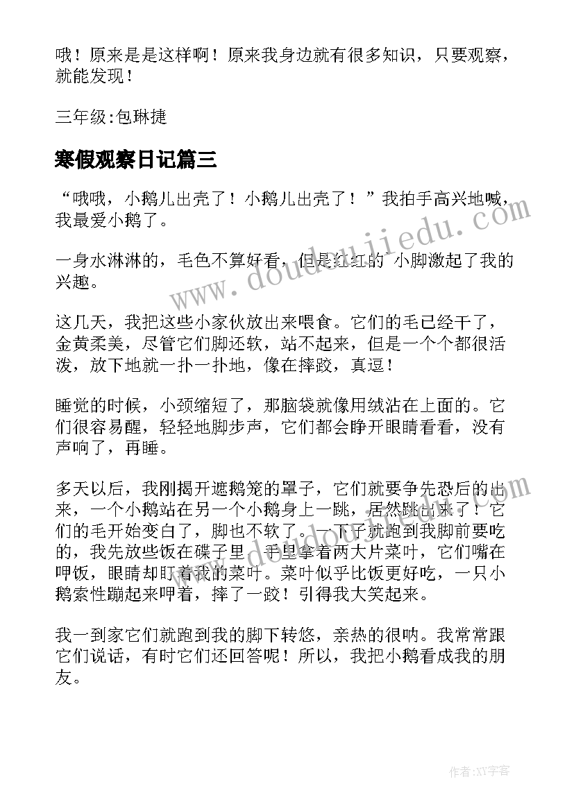 最新寒假观察日记(优质8篇)