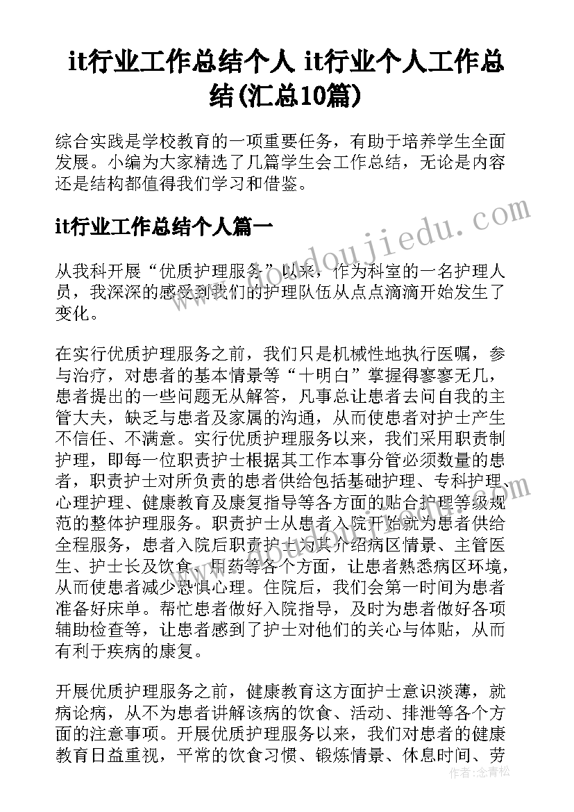 it行业工作总结个人 it行业个人工作总结(汇总10篇)