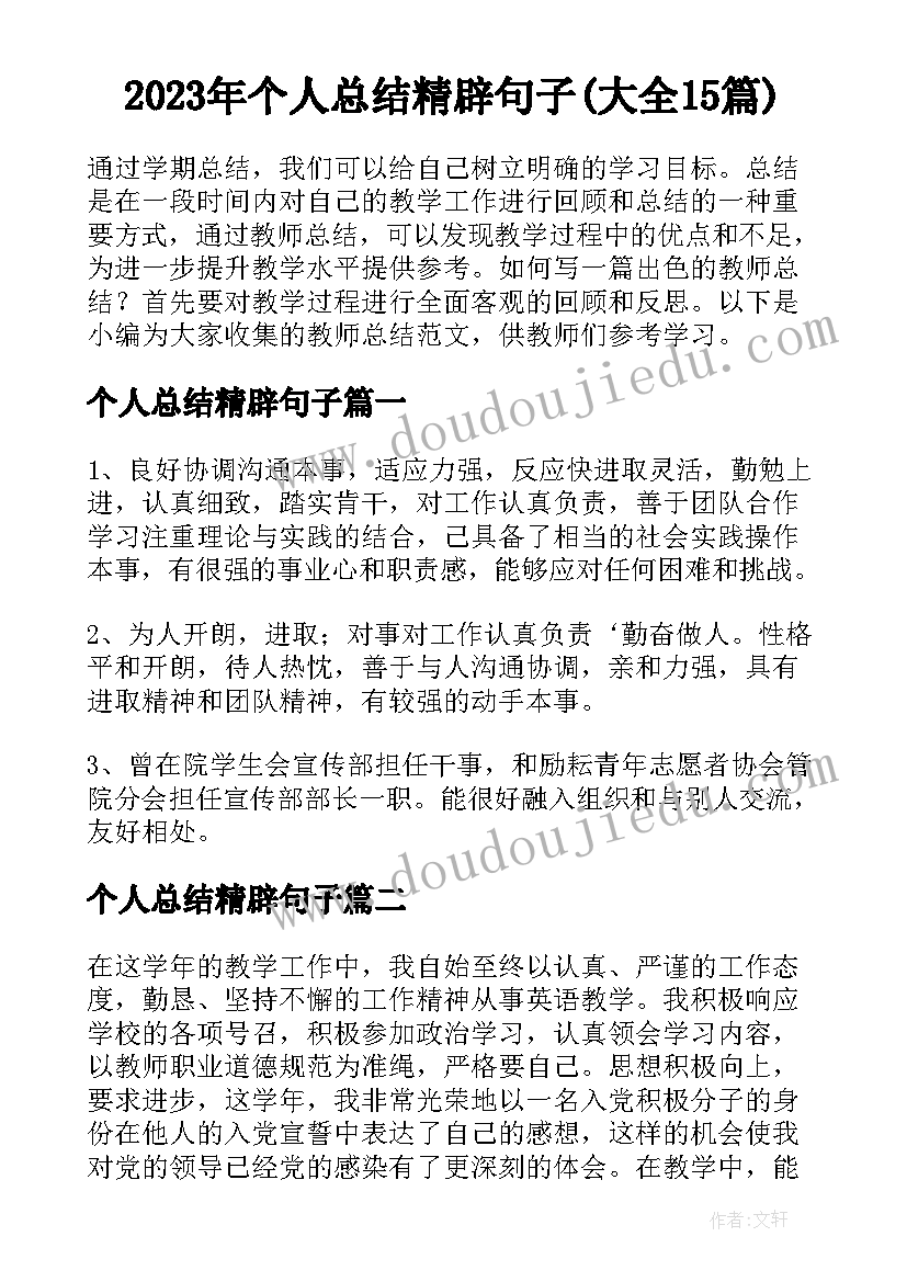 2023年个人总结精辟句子(大全15篇)