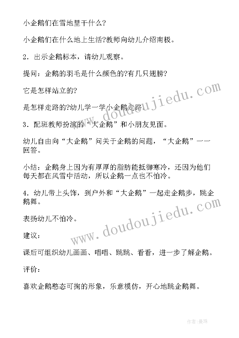 2023年可爱的小企鹅画 可爱的企鹅说课稿(优秀12篇)