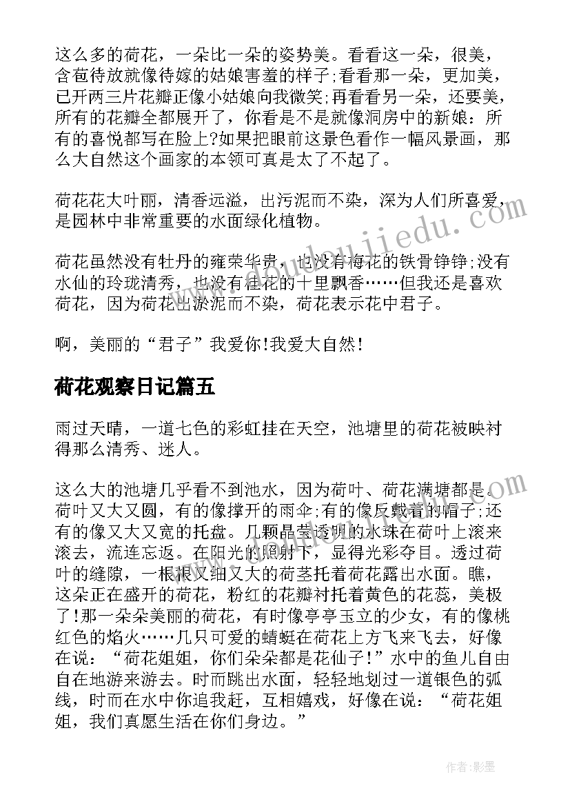 2023年荷花观察日记 级观察荷花的日记(精选8篇)